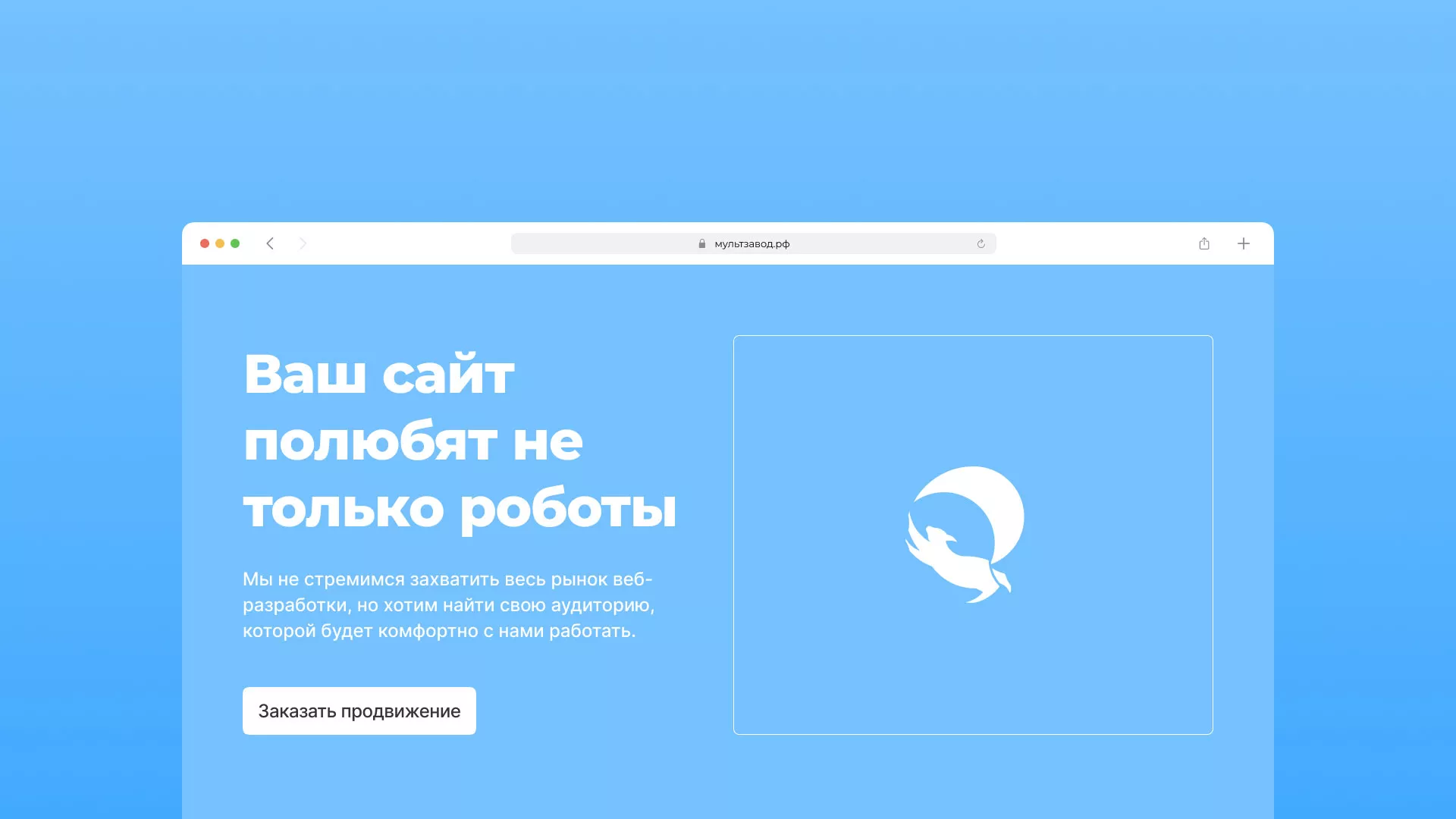 Продвижение сайтов в Краснодаре