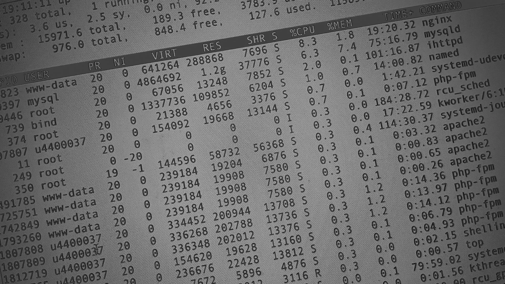 Настройка сервера в Краснодаре