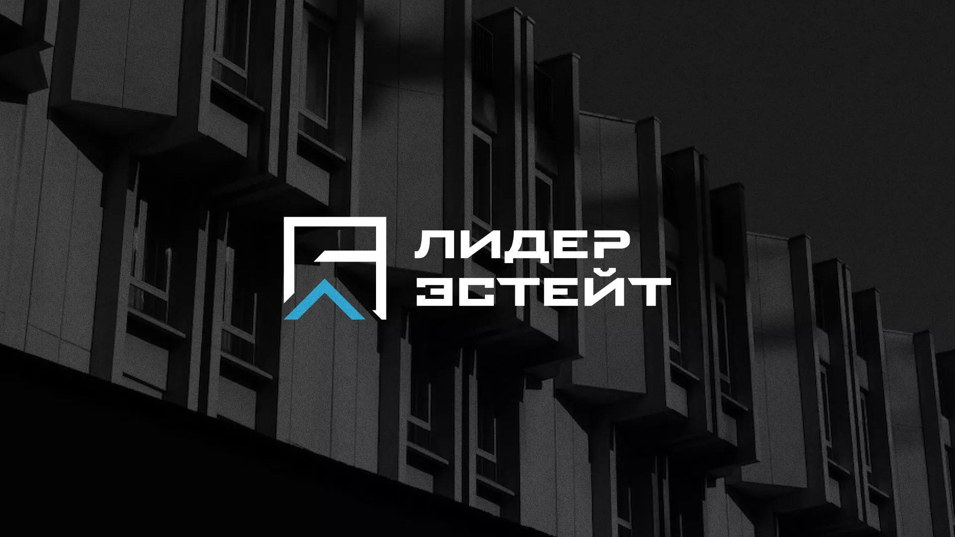 Разработка логотипа агентства недвижимости «Лидер Эстейт» в Краснодаре